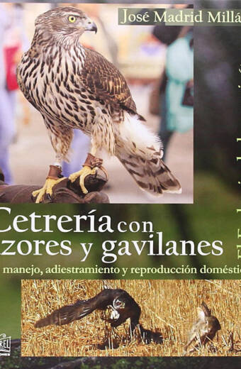 CETRERIA CON AZORES Y GAVILANES. Su manejo, adiestramiento y reproducción doméstica. El embrujo de los accipíteres