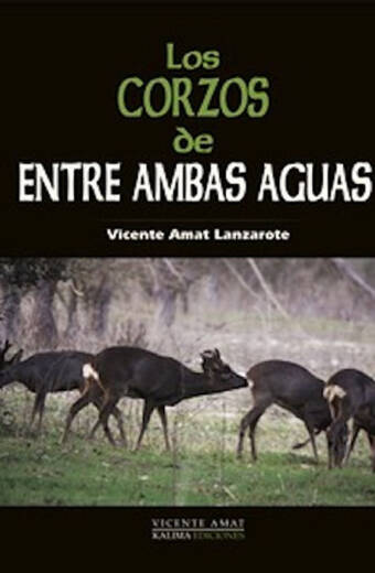 CORZOS DE ENTRE AMBAS AGUAS, LOS
