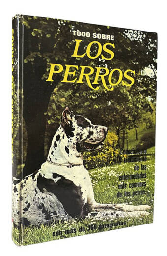TODO SOBRE LOS PERROS