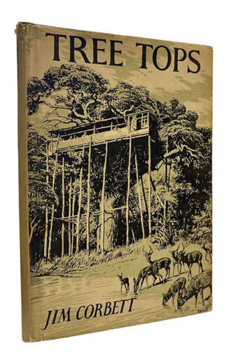 TREE TOPS