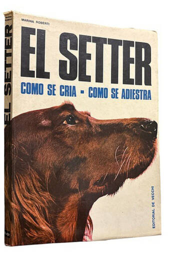 SETTER, EL. Como se cría, como se adiestra