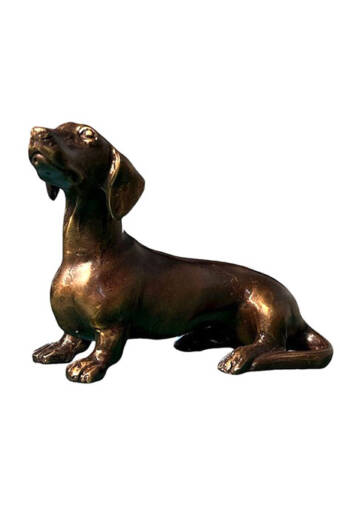 BRONCE TECKEL