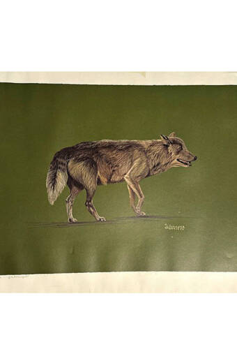 LITOGRAFIA LOBO