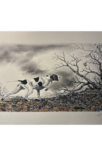 MUESTRA DE POINTER